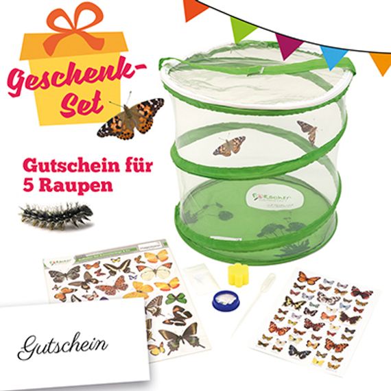Schmetterling-Zucht-Set, kompakt, 8-tlg