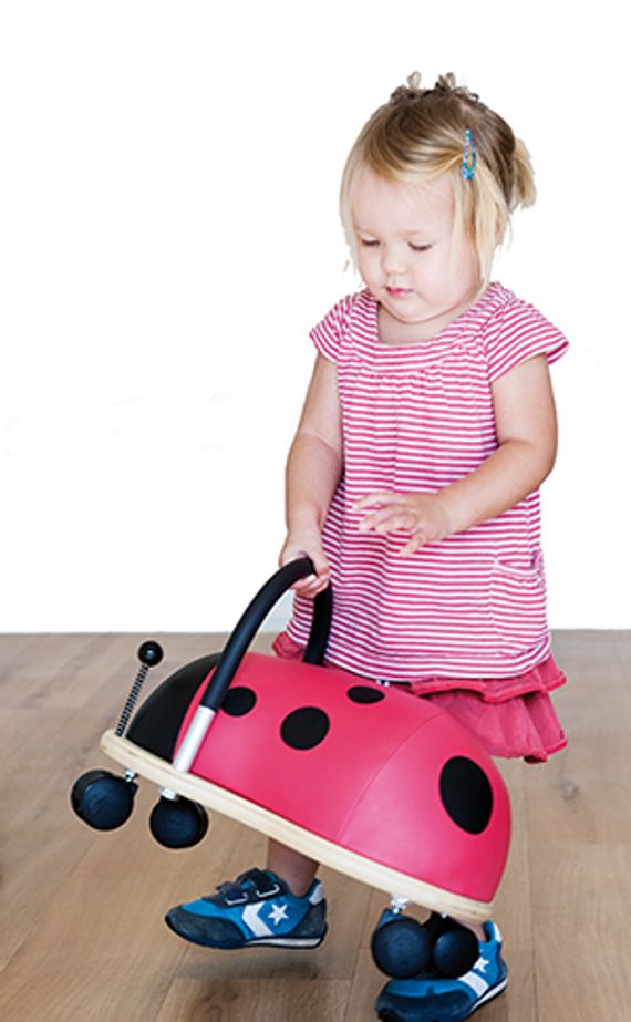 Wheely Bug O.L.H-beestje groot.