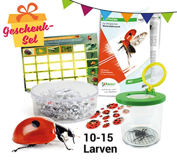 Marienkäfer-Zucht-Set, kompakt, 5-tlg