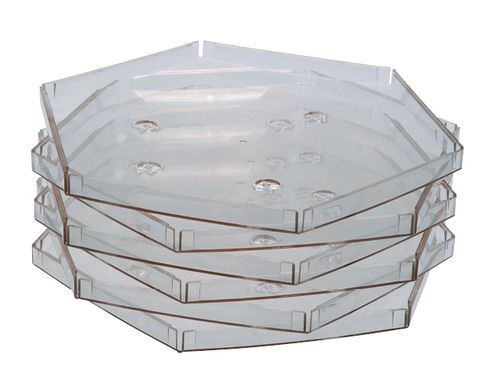 Ecko inlegraam transparant, klein