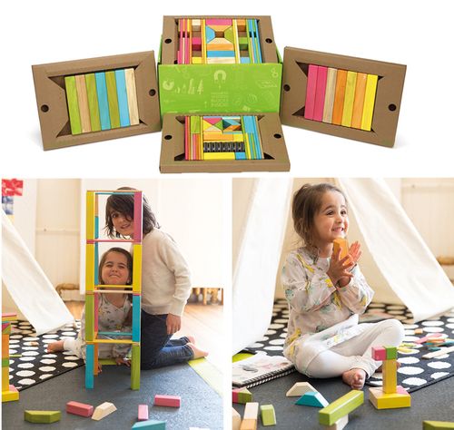 Tegu Starterset 90 teilig