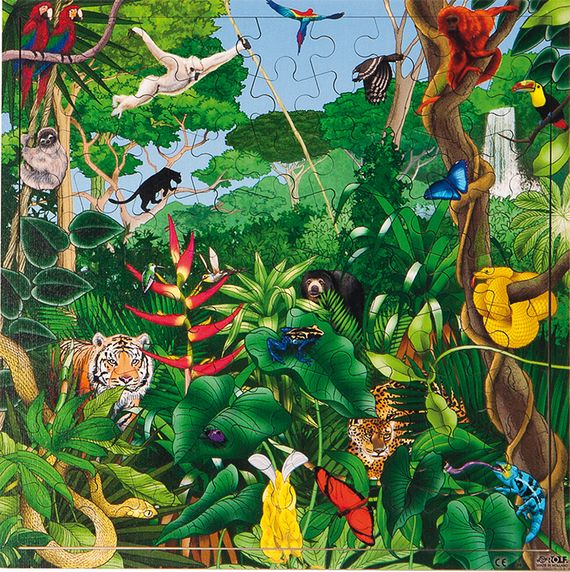 Puzzle Interaktiv Regenwald