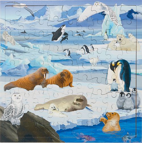 Puzzel Poolgebieden interactief