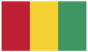 Flag for Guinea