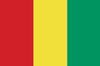 Flag for Guinea