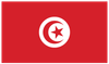 Flag for Tunisie