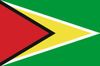 Flag for Guyana