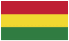 Flag for Bolivia (Plurinational State of)