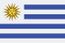 National flag
