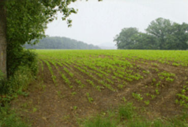 Landerijen rondom Abdij Rolduc, Kerkrade