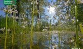 Geldersch Landschap & Kasteelen kalender 2021