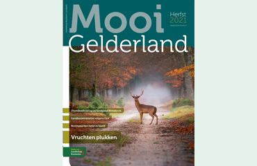 Mooi Gelderland herfst 2021
