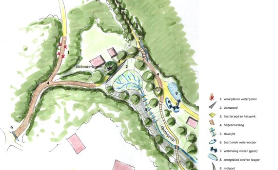 maatregelen herstel waterhuishouding Heerlijkheid Beek - najaar 2018