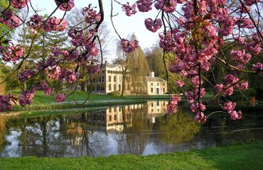 bloesem bij kasteel Rosendael