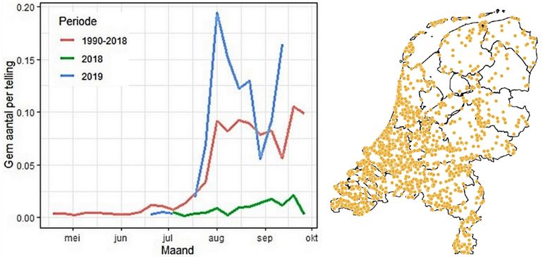 Aantal oranje luzernevlinders in de monitoringroutes en kaartje met de waarnemingen uit 2019 tot half september