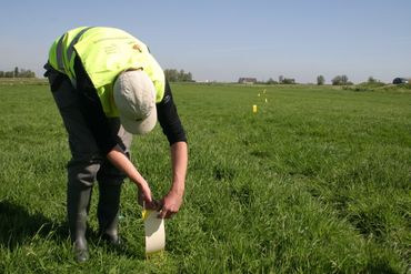 Vrijwilliger plaatst een plakval