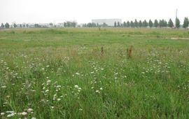 Marcel Hospers Ruigoord