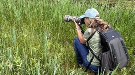 Natuurfotograaf Sabine Bos aan het werk