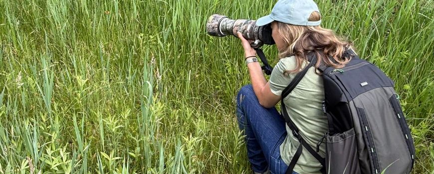 Dringende oproep aan natuurfotografen: “Spreek elkaar aan als wilde dieren worden verstoord”