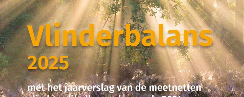 Vlinderbalans - primair
