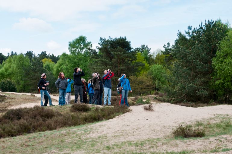 Door samen met ervaren vogeltellers naar trekvogels te kijken, zie je meer en leer je veel over gedrag en kenmerken