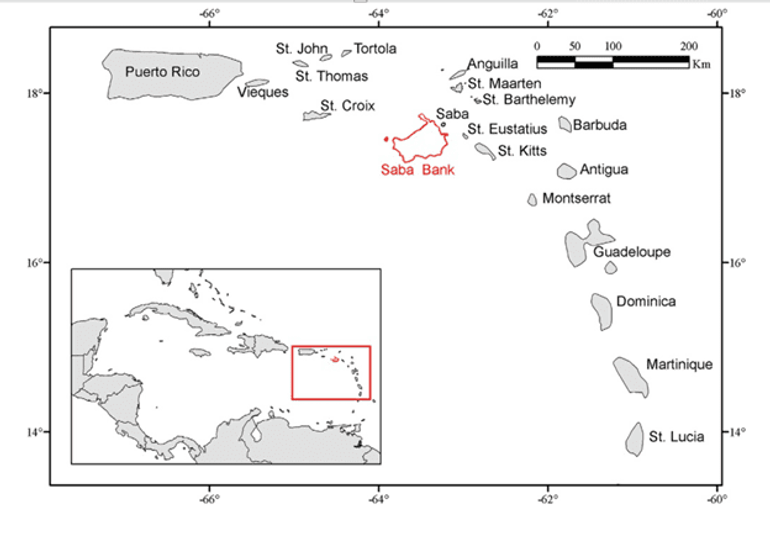 Nature Today | Saba's sea floor like never before