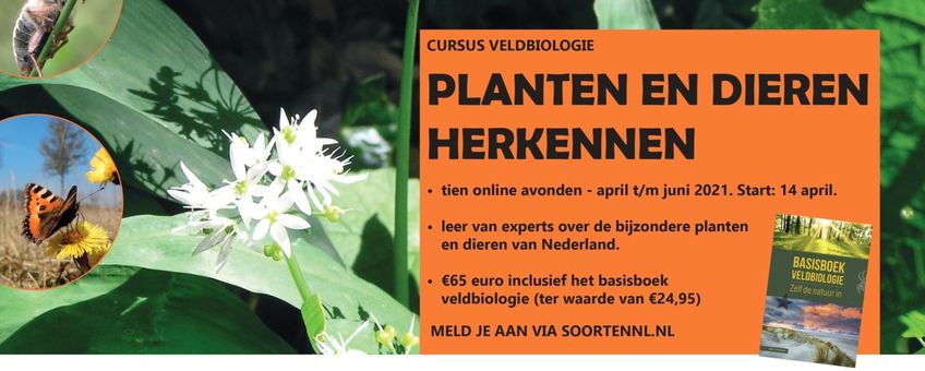 Flyer / banner cursus veldbiologie