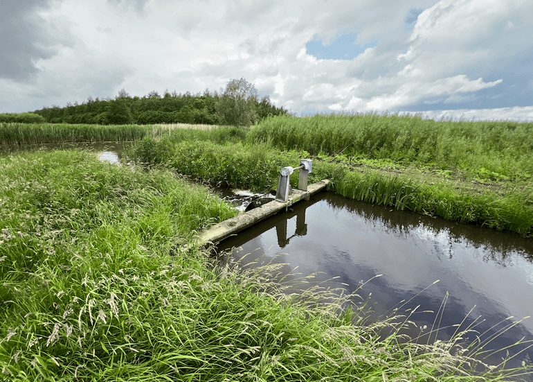 Bij het beheer van wilgengrienden speelt watermanagement ook een rol. Zo zorgt Michel zélf voor het vasthouden van het juiste waterpeil of juist voor doorstroom naar het kanaal als er te veel regenwater is