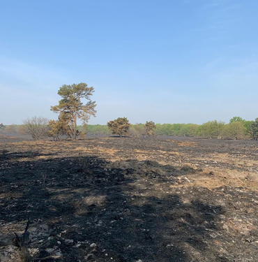 Meinweg na de natuurbrand