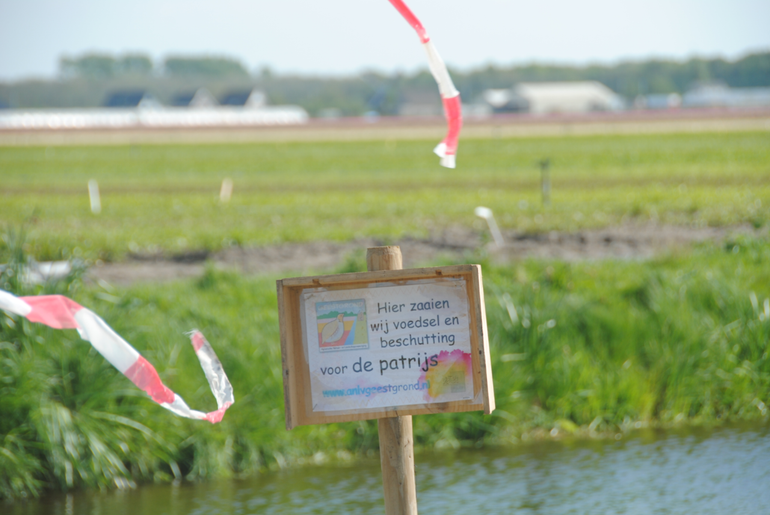 Bord bij ingezaaide akkerrand op een natuurvriendelijke oever in de Bollenstreek