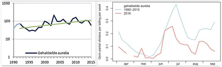 Gehakkelde aurelia: de trend vanaf 1990 (links) en de aantallen in de tellingen in 2016, vergeleken met het gemiddelde (rechts)