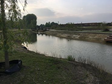 Vijver in het Spoorpark Tilburg