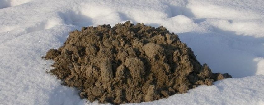 Molshoop in de sneeuw