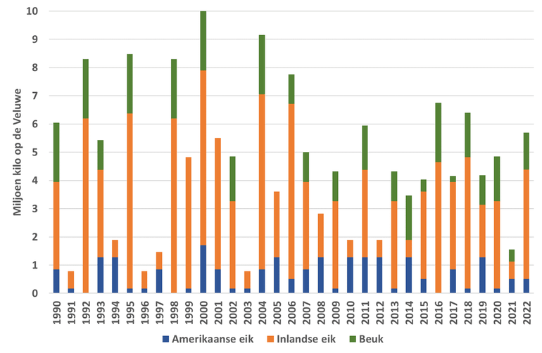 Jaarlijkse hoeveelheid (in kilo's) eikels van de Amerikaanse eik, inlandse eik en beuk