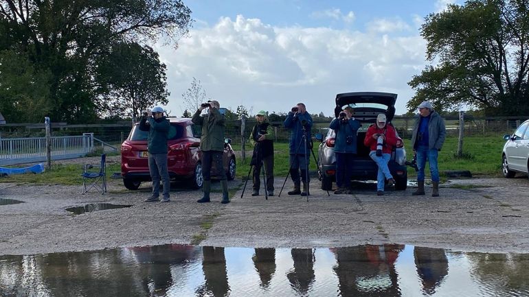 Telpost EuroBirdwatch 2025 Steenfabriek Heesselt