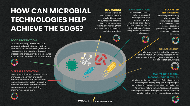 Zeven onderzoeksgebieden in de microbiologie die kunnen helpen de SDG's te bereiken