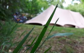 Teken op grassprietten, tent camping