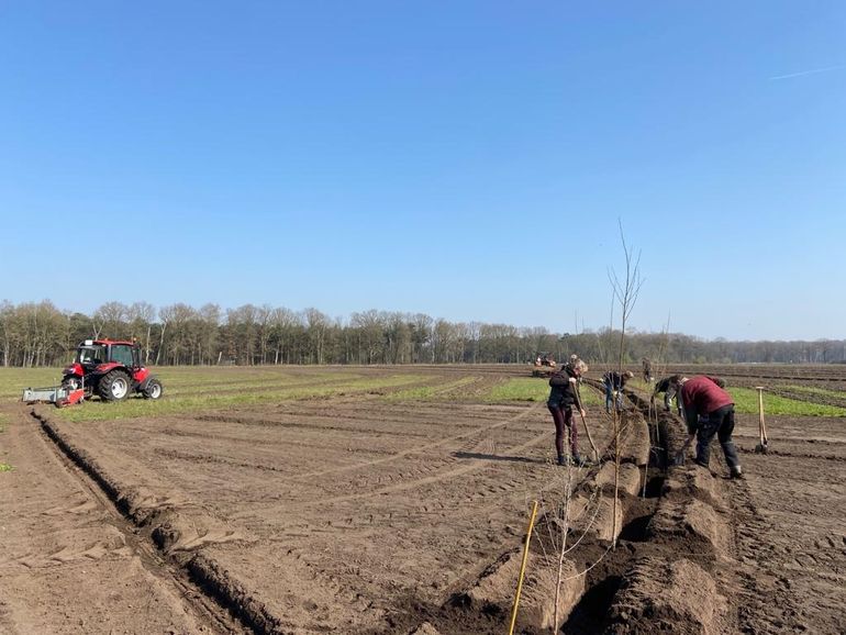 De eerste bomen de grond in op de Janmiekeshoeve