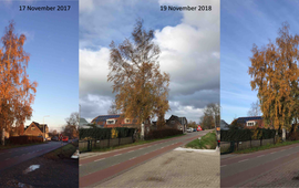 GrowApp.today Bennekomse berk op 17 november 2017, 19 november 2018 en 17 november 2019