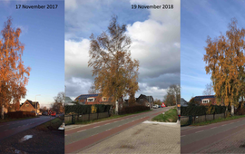 Bennekomse berk op 17 november 2017, 19 november 2018 en 17 november 2019