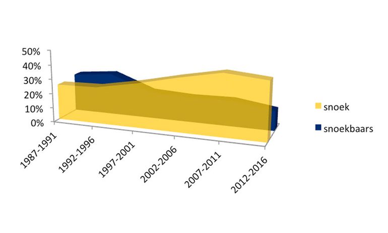 Percentage van kilometerhokken met viswaarnemingen waarbinnen snoek en snoekbaars zijn aangetroffen per vijfjaarlijkse periode. De grafiek is gebaseerd op de gegevens van zowel visinventarisaties door vrijwilligers als professionele bevissing voor onder andere de Kaderrichtlijn Water. Deze gegevens zijn door RAVON bij elkaar gebracht in het kader van provinciale visatlassen en het NEM Meetprogramma Zoetwatervissen