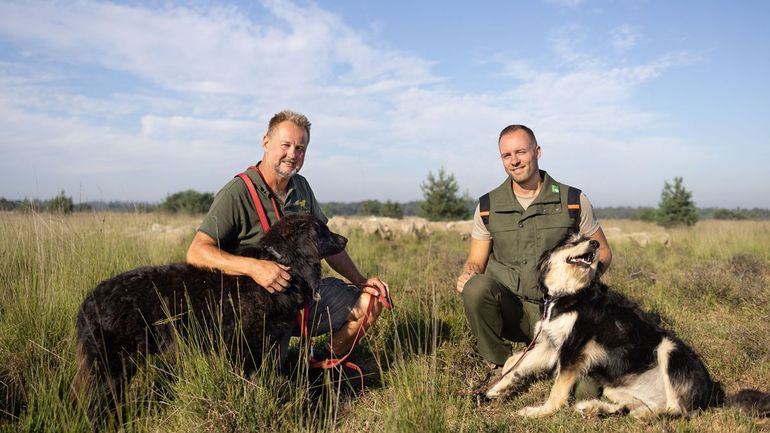 Herder Riaan Strijdom en boswachter Erik Schram werken graag mee om te verkennen of de honden een oplossing zijn om de schapen tegen wolven te beschermen