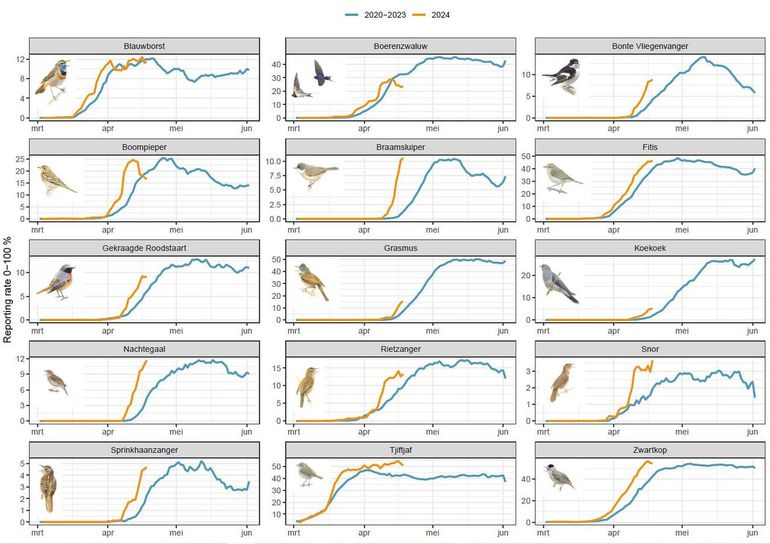 Meldingsfrequentie van vijftien vogelsoorten die in Afrika overwinteren. Gemiddeld kwamen ze zo’n zes dagen eerder terug dan in de vier jaar ervoor (zwartkop en tjiftjaf overwinteren zowel in Zuid-Europa als in Nederland). Klik op de afbeelding voor een groter formaat