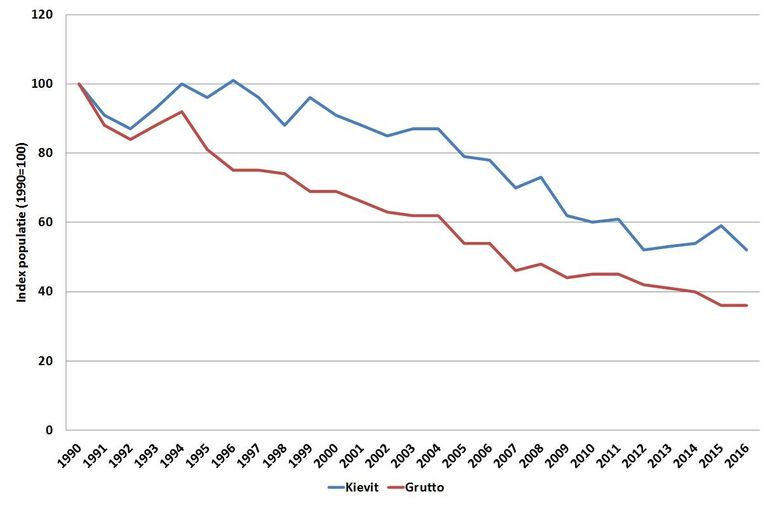 Trend van de populatieomvang van kievit en grutto sinds 1990 in Nederland. De omvang van de populatie in 1990 is op 100 gezet