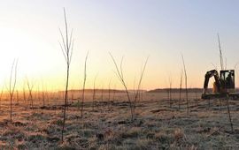 Het komend plantseizoen zorgt Staatsbosbeheer voor zo'n 200 hectare nieuw bos