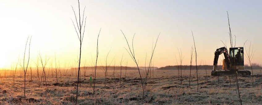 Het komend plantseizoen zorgt Staatsbosbeheer voor zo'n 200 hectare nieuw bos