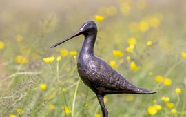 de bronzen wisseltrofee 'Gouden Grutto'