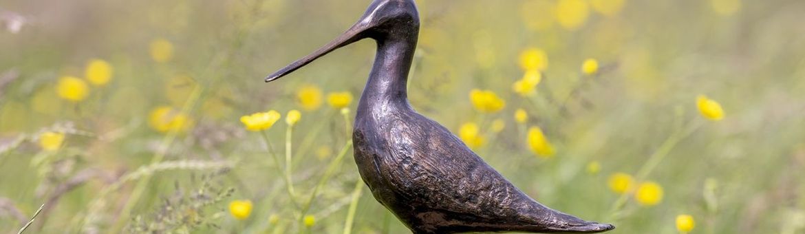 de bronzen wisseltrofee 'Gouden Grutto'