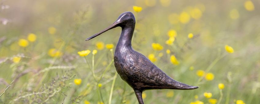 de bronzen wisseltrofee 'Gouden Grutto'