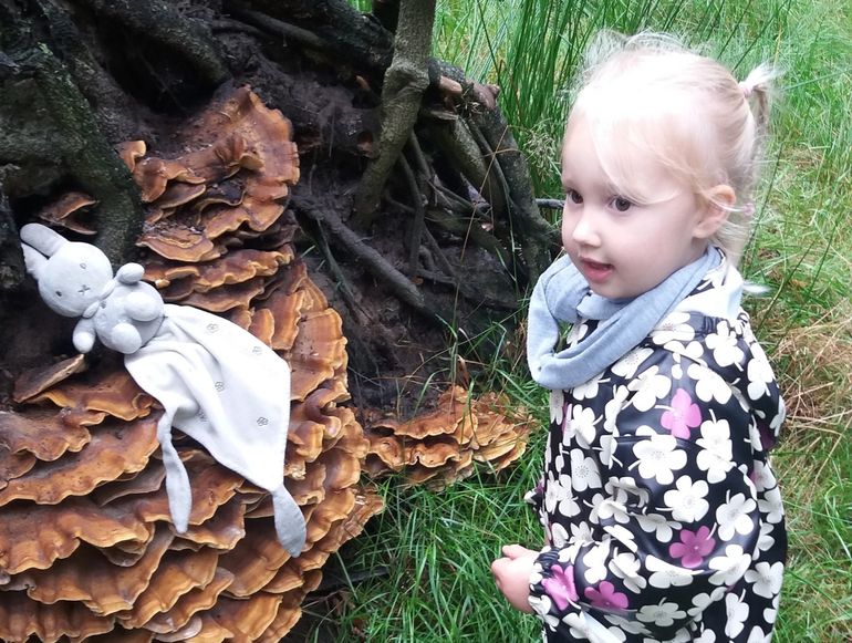 Hou kleine kinderen niet weg bij paddenstoelen, maar let op dat ze er niet van eten